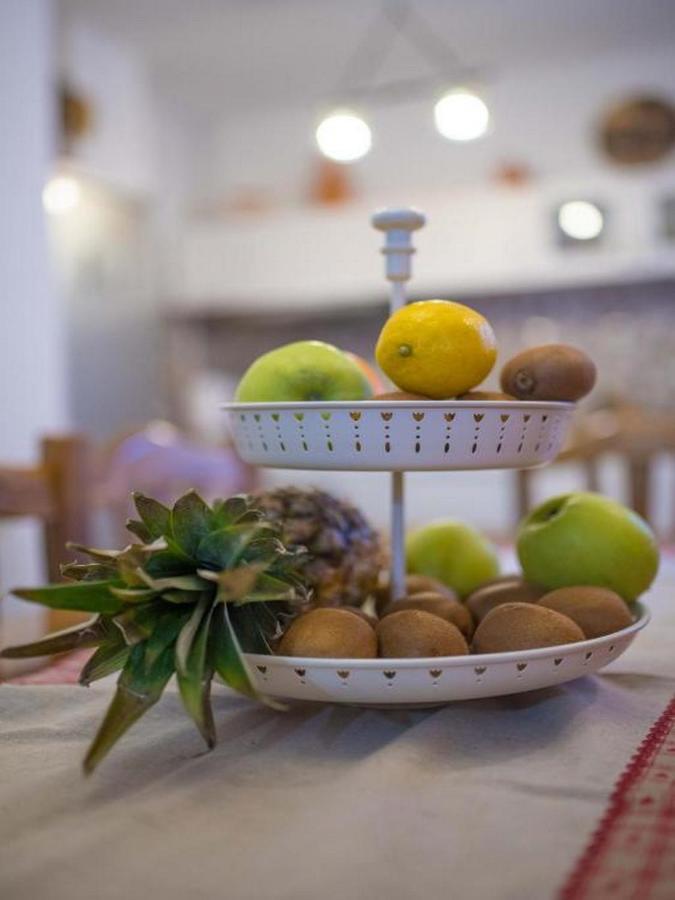 Holiday&wellness House Grofica Holiday home